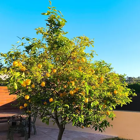 Adosado Con Jardin En Xalets De